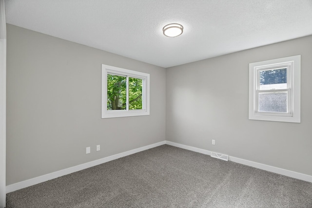 6064 157th Ln NW, Ramsey, MN 55303 - photo 13