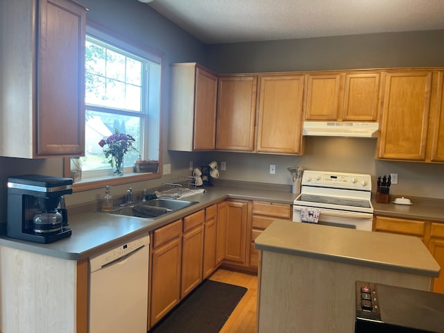 2275 Clover Field Dr, Chaska, MN 55318 - photo 2