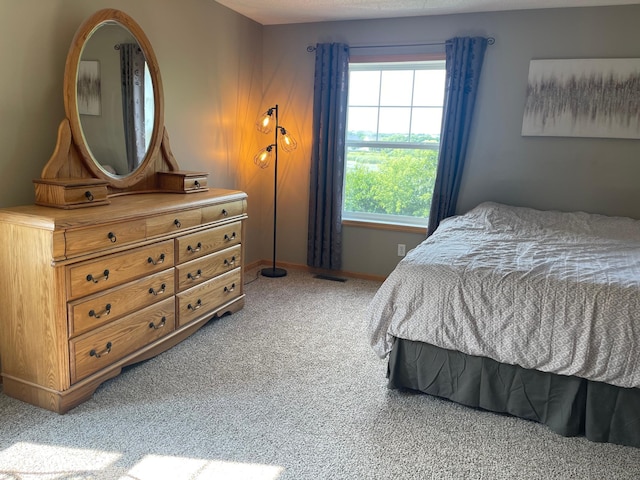 2275 Clover Field Dr, Chaska, MN 55318 - photo 5