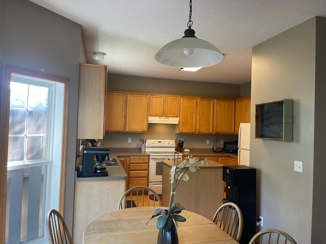 2275 Clover Field Dr, Chaska, MN 55318 - photo 6