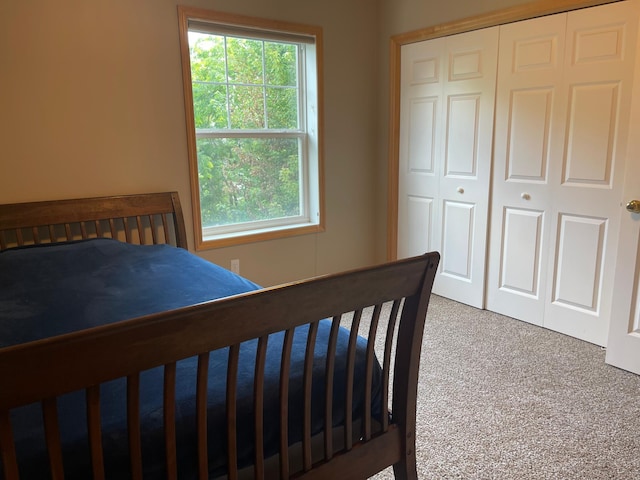 2275 Clover Field Dr, Chaska, MN 55318 - photo 13