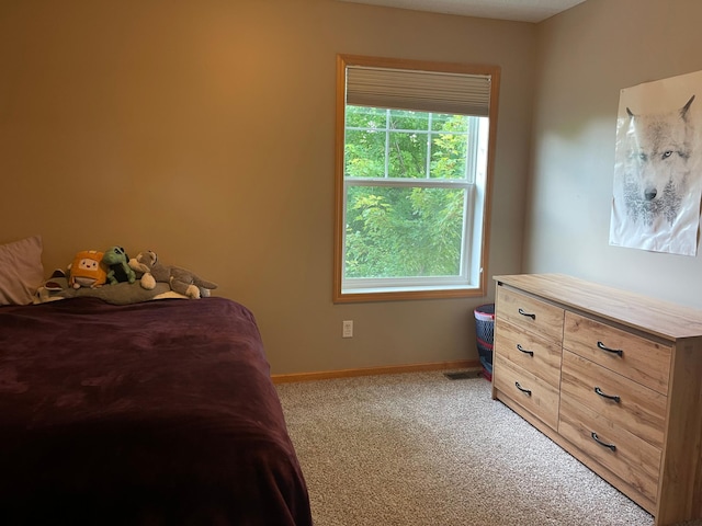 2275 Clover Field Dr, Chaska, MN 55318 - photo 15