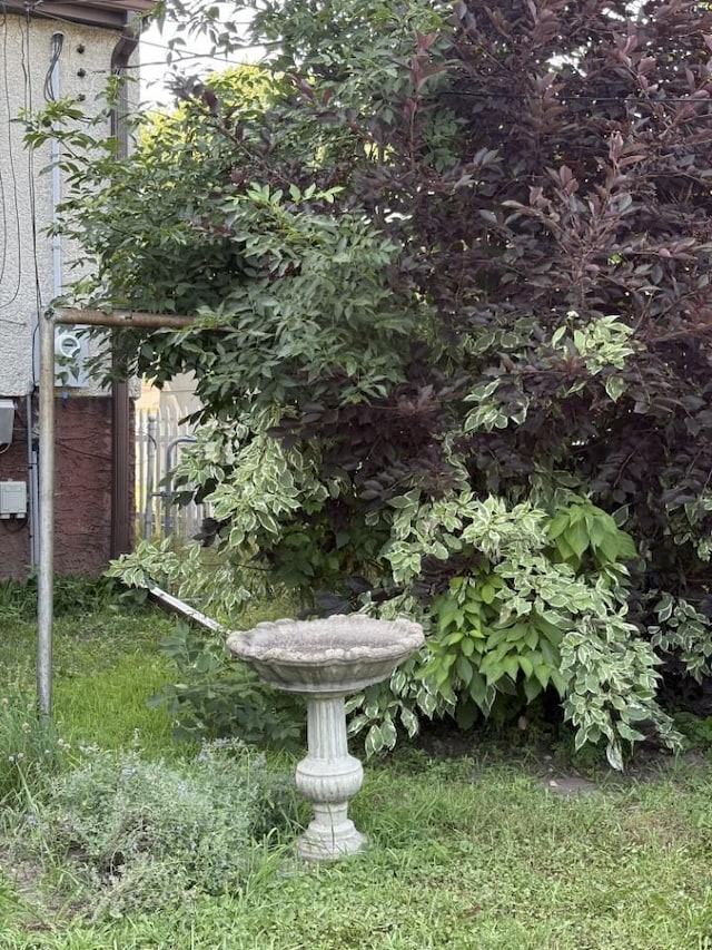 4251 Quincy St NE, Columbia Heights, MN 55421 - view of yard