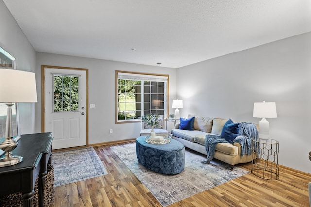 8484 Minuteman Alcove, Eden Prairie, MN 55344 - living area featuring wood finished floors and baseboards