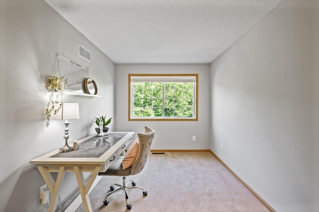 8484 Minuteman Alcove, Eden Prairie, MN 55344 - office area featuring carpet floors and a textured ceiling