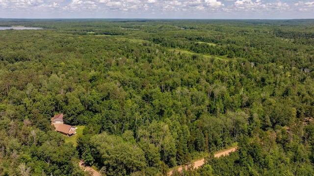 24634 Wooded Trl, Crosby, MN 56441 - photo 4