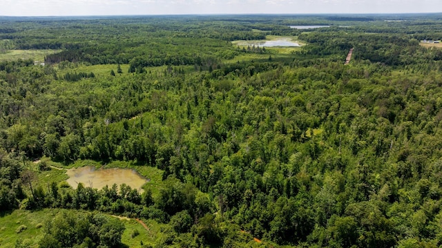24634 Wooded Trl, Crosby, MN 56441 - photo 32
