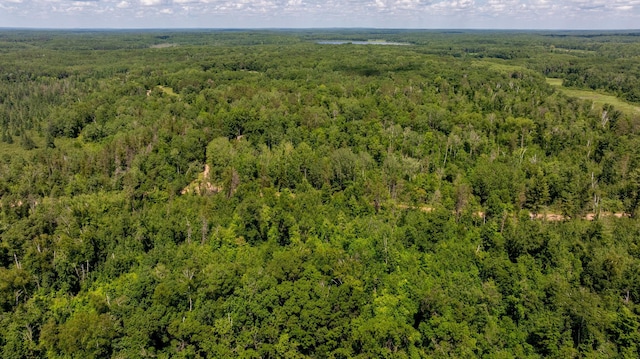 24634 Wooded Trl, Crosby, MN 56441 - photo 33