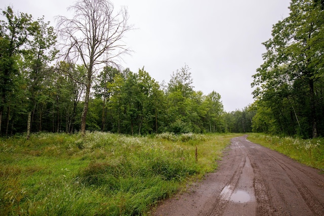15479 330th St, Bradbury Twp, MN 56359 - photo 4