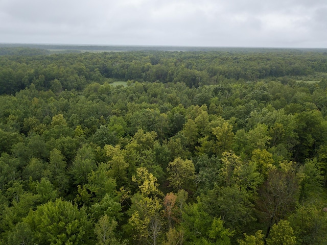 15479 330th St, Bradbury Twp, MN 56359 - photo 8