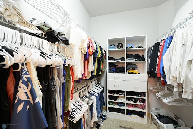4703 Woodhaven St S, Fargo, ND 58104 - view of walk in closet