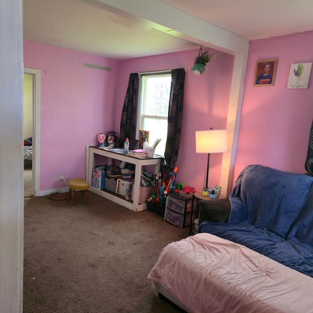 417 Guide St N, Welcome, MN 56181 - photo 7