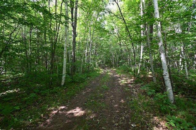 12207 Railroad Rd, Lake Nebagamon, WI 54849 - view of tree filled area