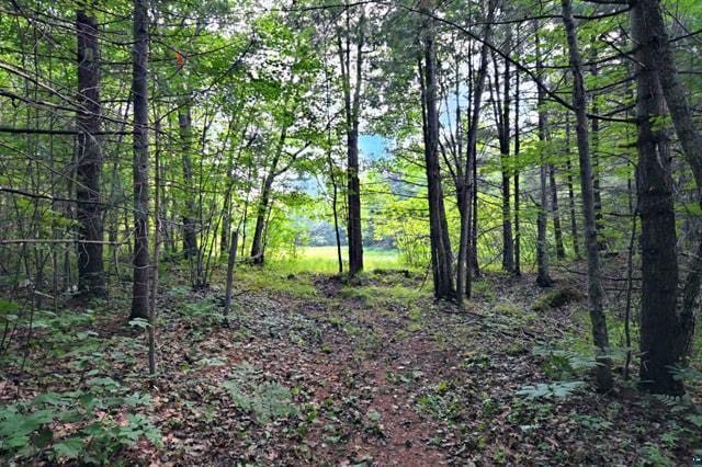 12207 Railroad Rd, Lake Nebagamon, WI 54849 - view of woods