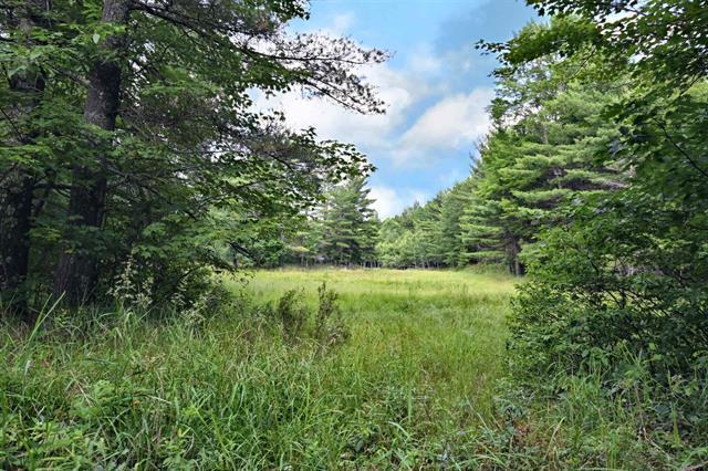 12207 Railroad Rd, Lake Nebagamon, WI 54849 - view of wooded area