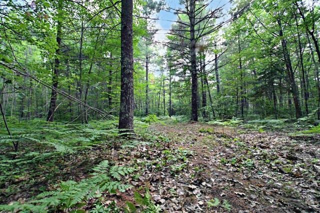 12207 Railroad Rd, Lake Nebagamon, WI 54849 - view of woods
