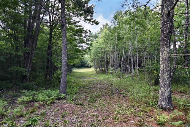 12207 Railroad Rd, Lake Nebagamon, WI 54849 - view of tree filled area