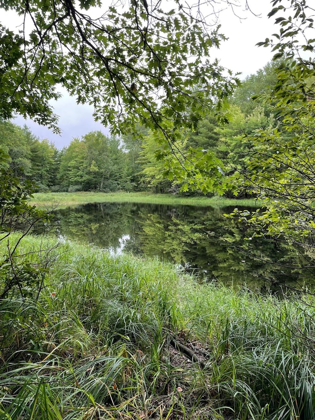 12207 Railroad Rd, Lake Nebagamon, WI 54849 - view of tree filled area with a water view