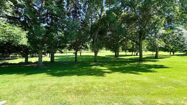 104 River Oaks Dr, Cold Spring, MN 56320 - photo 5