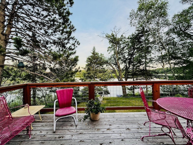 18986 Captive Lake Rd, Garrison, MN 56450 - photo 6