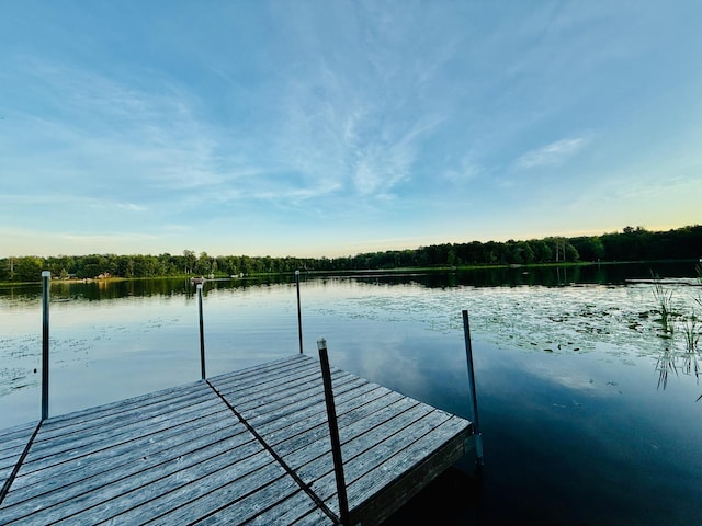 18986 Captive Lake Rd, Garrison, MN 56450 - photo 34