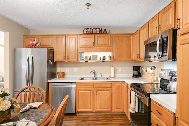 18400 Euclid St Unit 253, Farmington, MN 55024 - photo 8