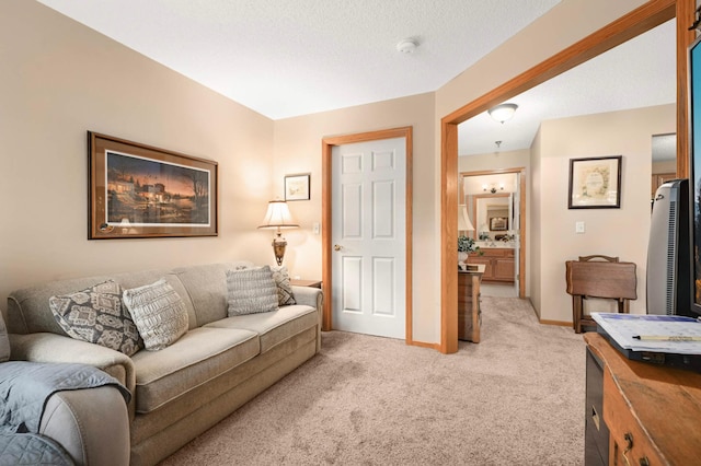 18400 Euclid St Unit 253, Farmington, MN 55024 - photo 19