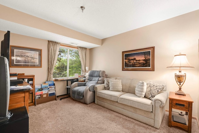 18400 Euclid St Unit 253, Farmington, MN 55024 - photo 20