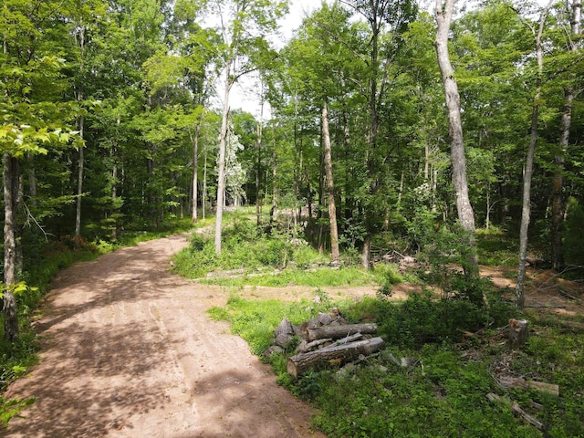 TBD Marias Way, Lincoln Twp, WI 54893 - photo 3
