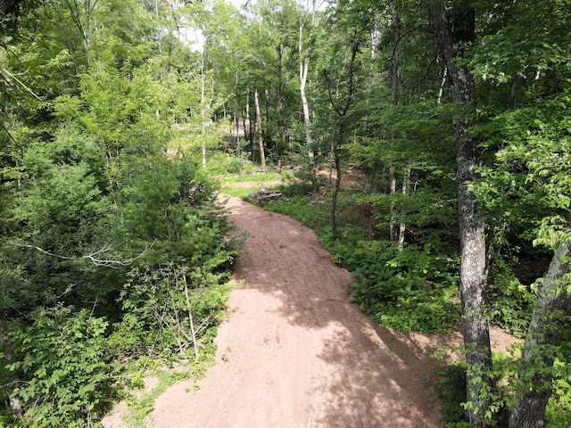 TBD Marias Way, Lincoln Twp, WI 54893 - photo 4