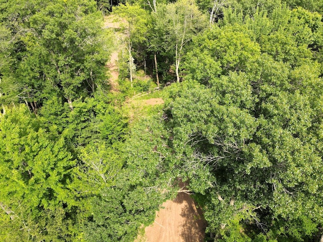TBD Marias Way, Lincoln Twp, WI 54893 - photo 5