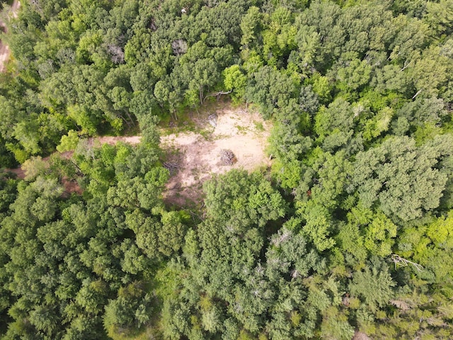 TBD Marias Way, Lincoln Twp, WI 54893 - photo 10