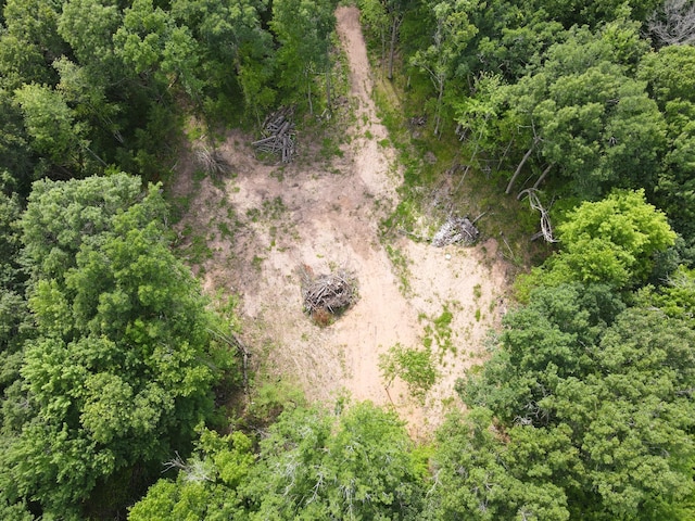 TBD Marias Way, Lincoln Twp, WI 54893 - photo 11