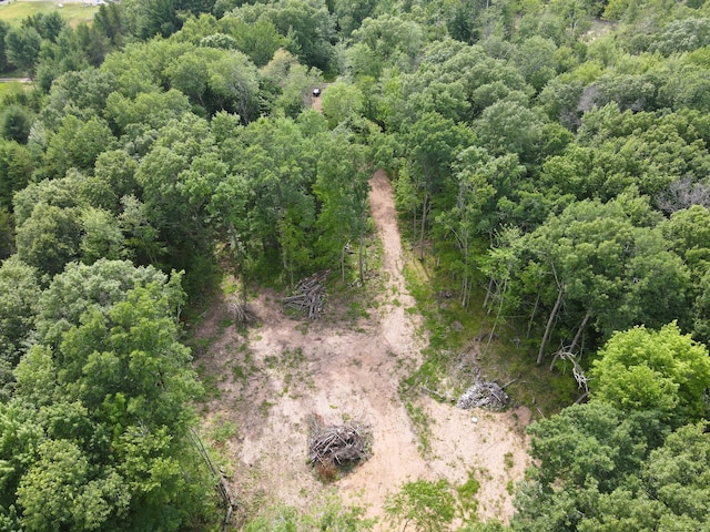 TBD Marias Way, Lincoln Twp, WI 54893 - photo 12