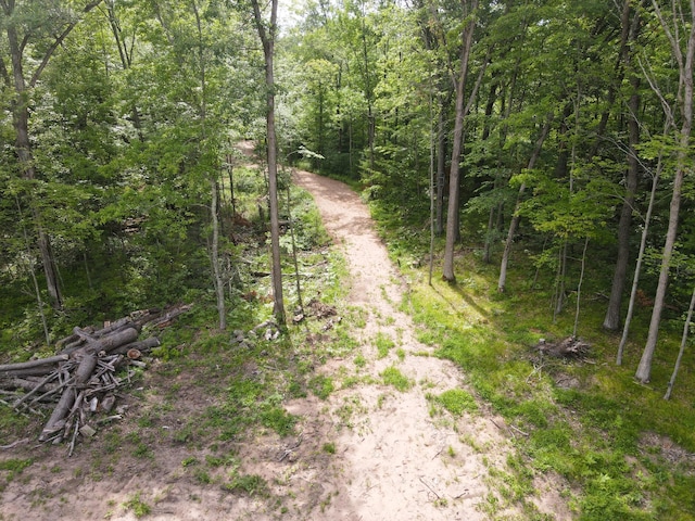 TBD Marias Way, Lincoln Twp, WI 54893 - photo 13