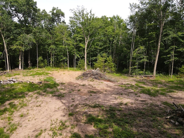 TBD Marias Way, Lincoln Twp, WI 54893 - photo 14