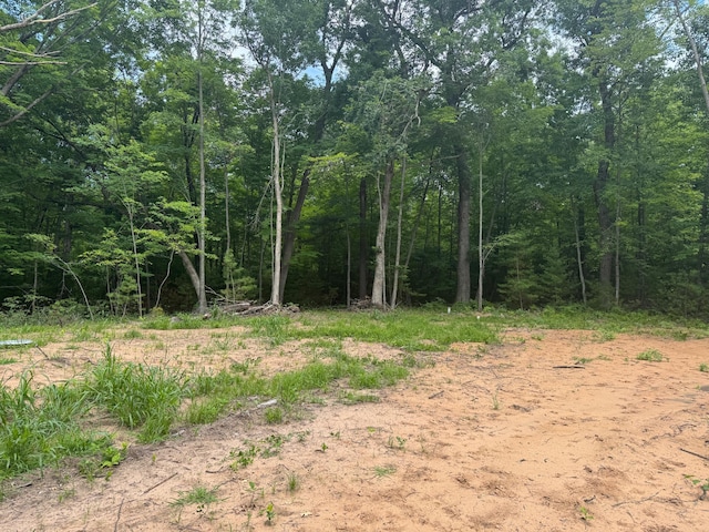 TBD Marias Way, Lincoln Twp, WI 54893 - photo 1