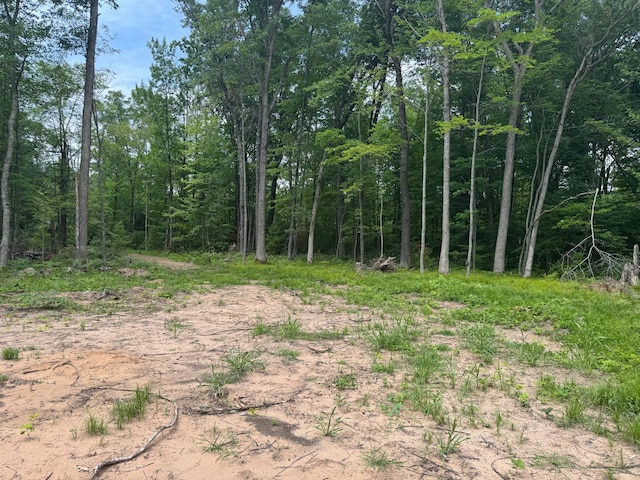 TBD Marias Way, Lincoln Twp, WI 54893 - photo 2