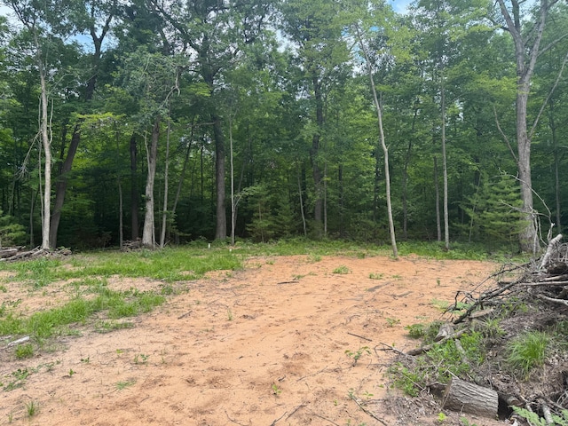 TBD Marias Way, Lincoln Twp, WI 54893 - photo 15