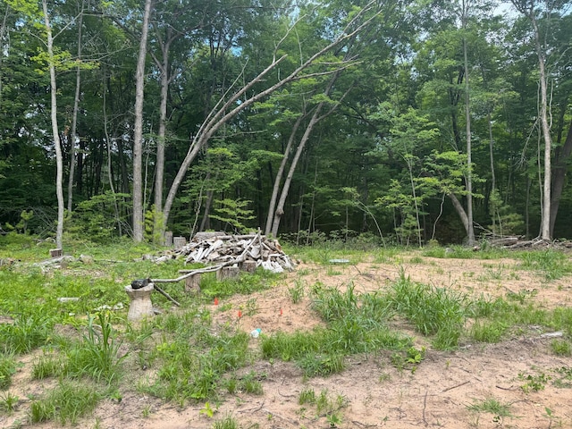 TBD Marias Way, Lincoln Twp, WI 54893 - photo 16