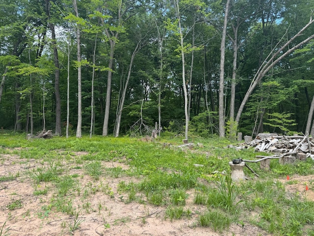 TBD Marias Way, Lincoln Twp, WI 54893 - photo 17