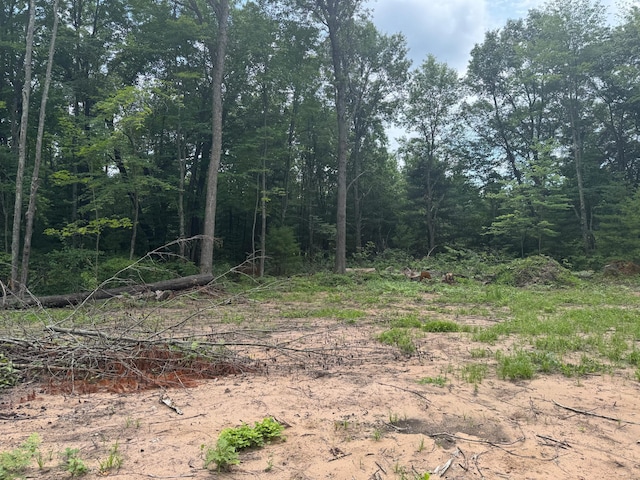 TBD Marias Way, Lincoln Twp, WI 54893 - photo 18