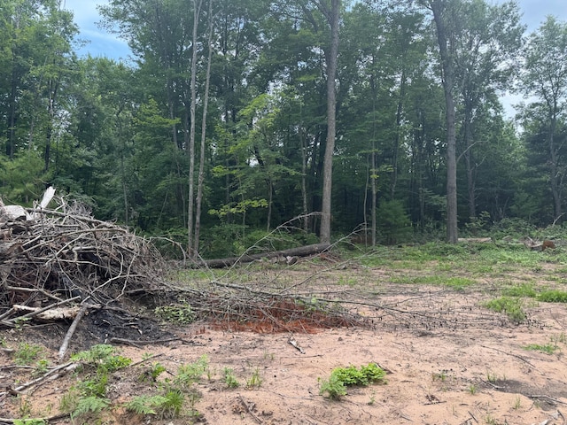 TBD Marias Way, Lincoln Twp, WI 54893 - photo 19