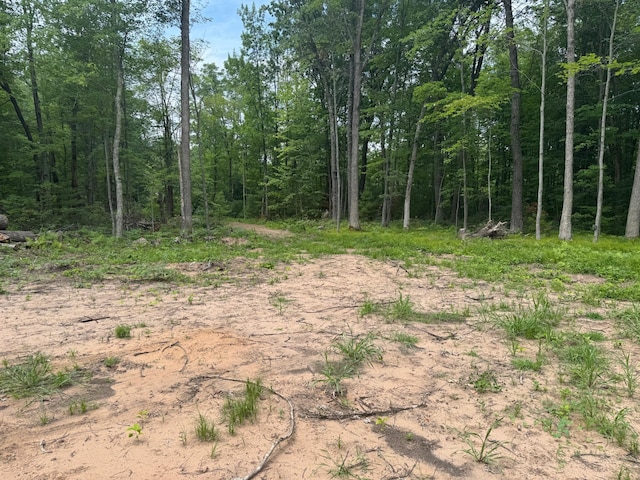 TBD Marias Way, Lincoln Twp, WI 54893 - photo 20