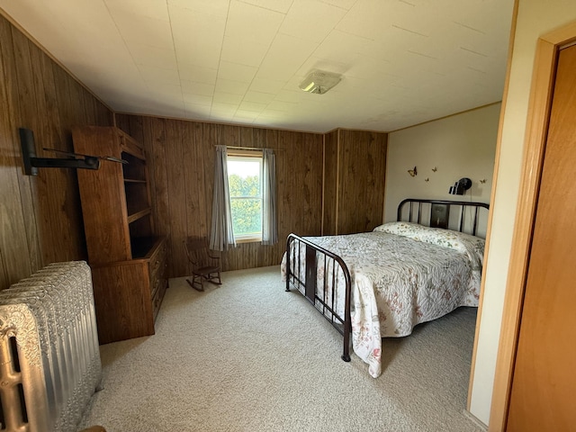 22995 County 20, Preston, MN 55965 - photo 21