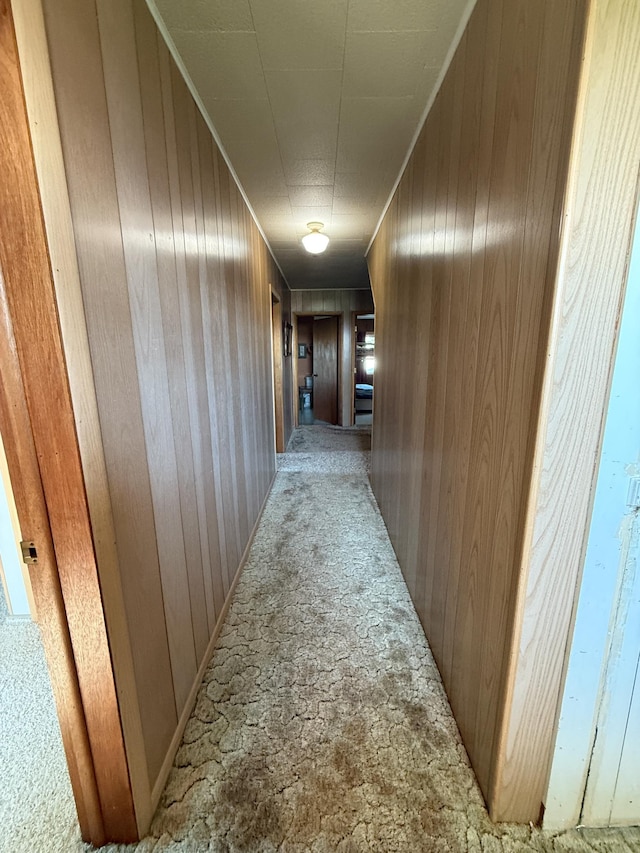22995 County 20, Preston, MN 55965 - photo 23