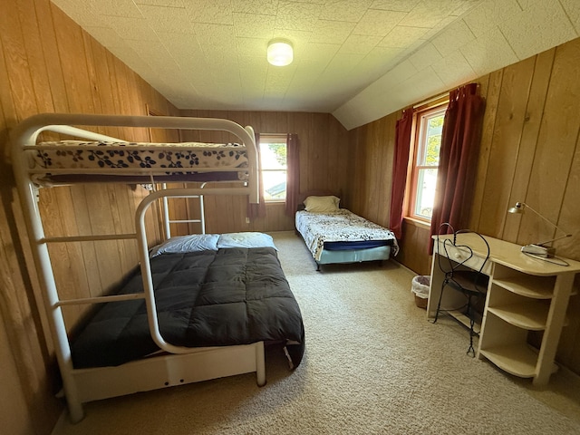 22995 County 20, Preston, MN 55965 - photo 27