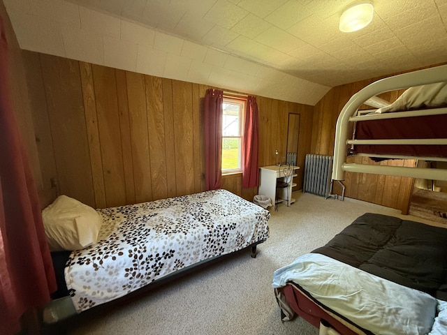 22995 County 20, Preston, MN 55965 - photo 28