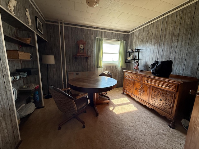22995 County 20, Preston, MN 55965 - photo 35