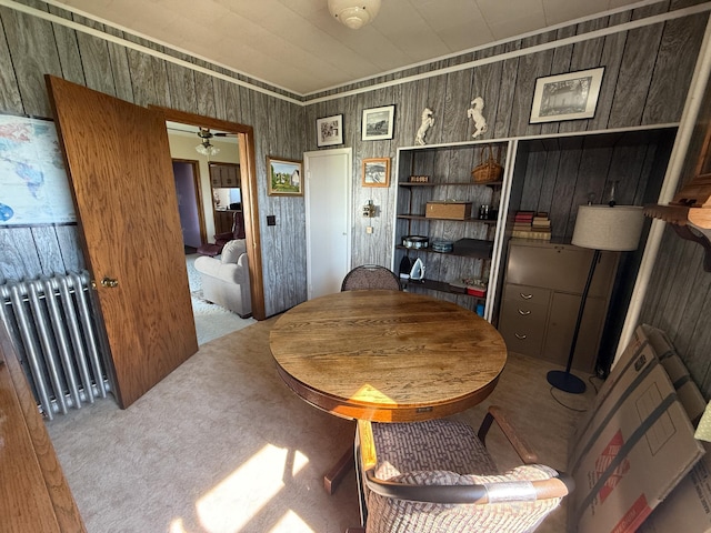 22995 County 20, Preston, MN 55965 - photo 36